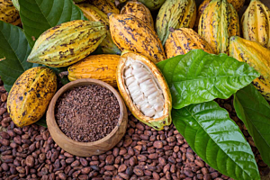 Prečo tak rýchlo rastú ceny kakaa na svetových trhoch?