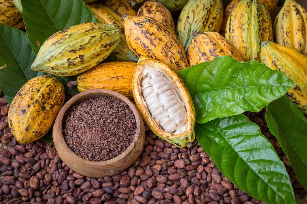 Prečo tak rýchlo rastú ceny kakaa na svetových trhoch?